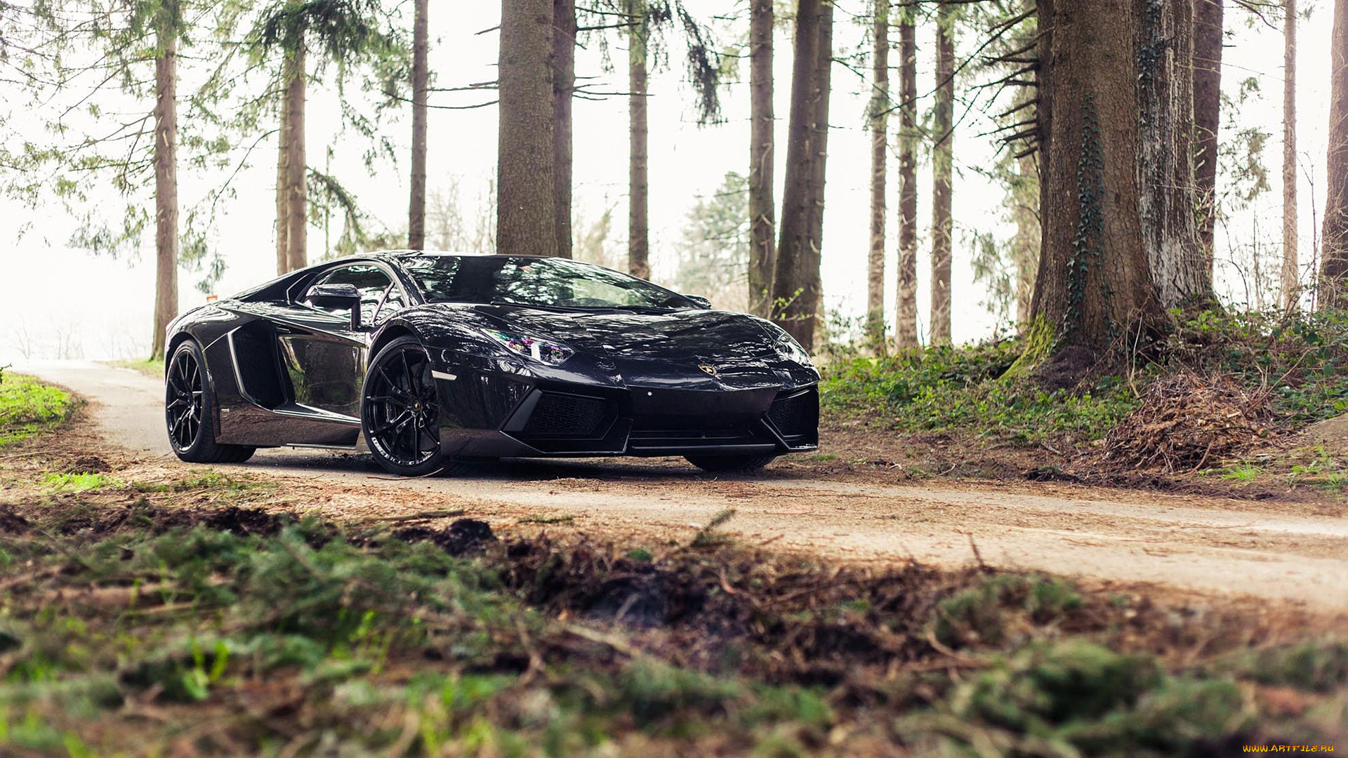 , lamborghini, aventador